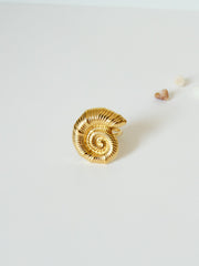 Bague coquillage