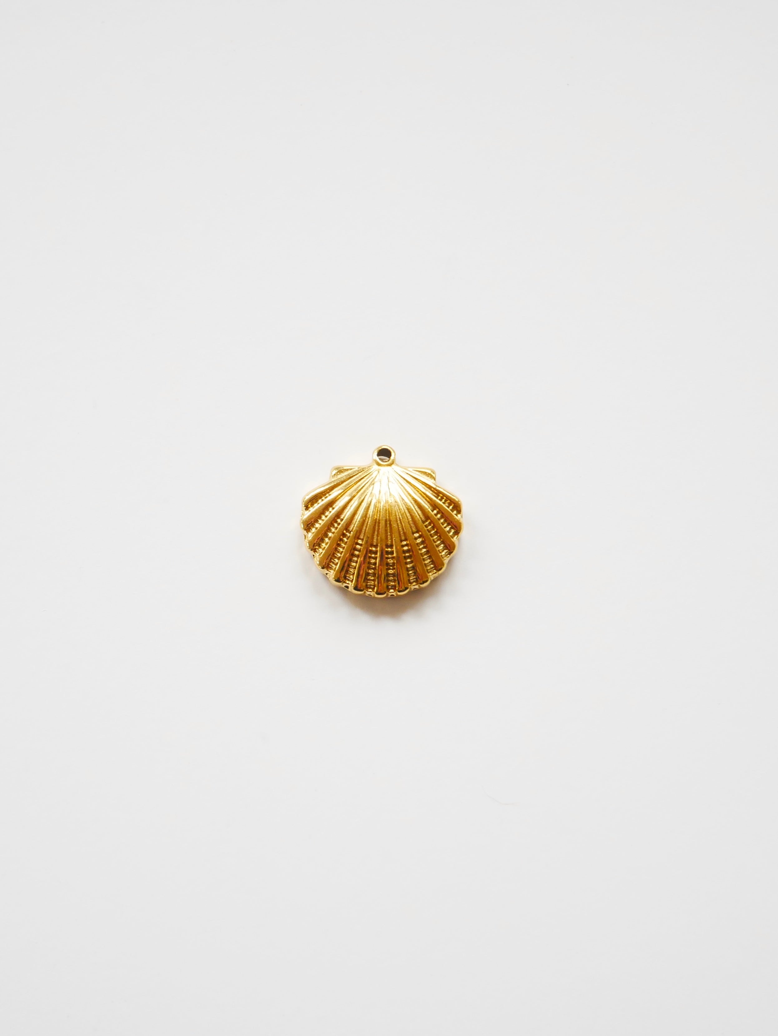 13 - Shell